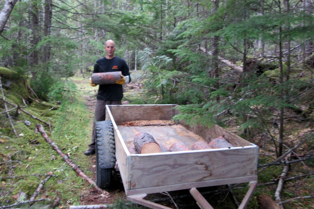 After Michael's truck was loaded with logs from a large pine tree, Michael cut down a larch for my small trailer.